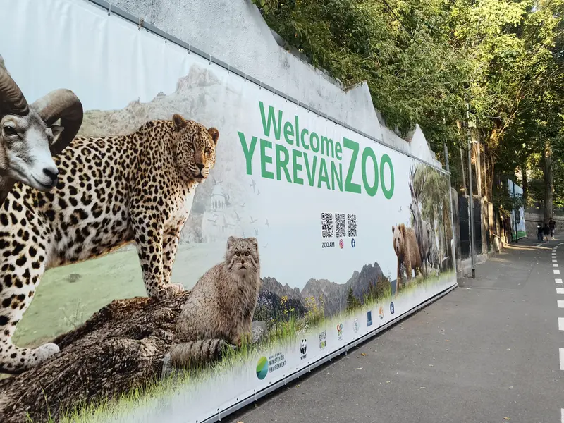 エレバン動物園のマヌルネコの写真