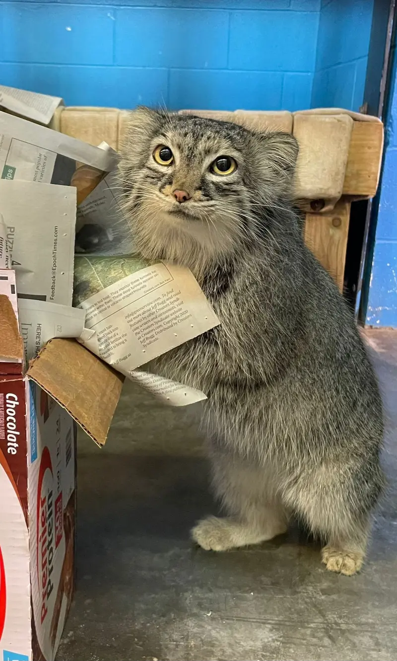 ニアビ動物園のイーヴィーの写真