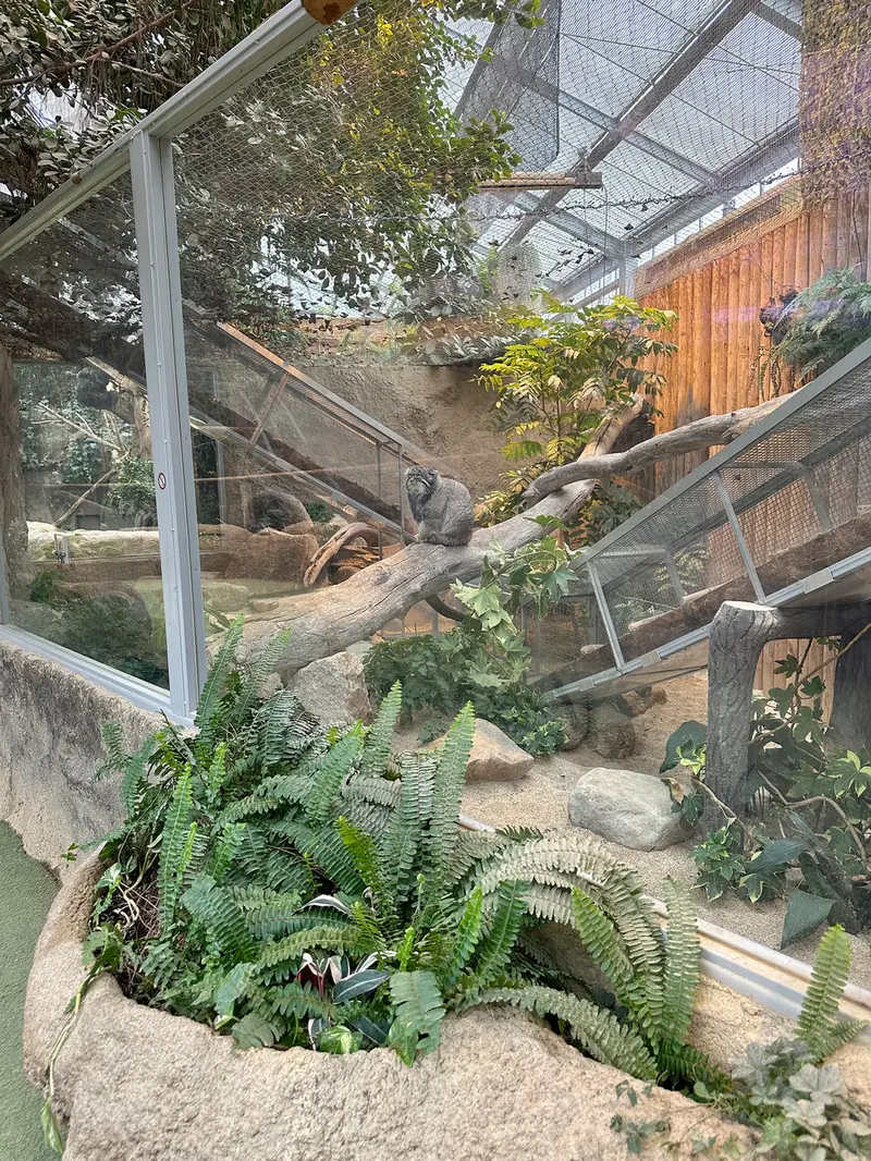 神戸どうぶつ王国のナルの写真