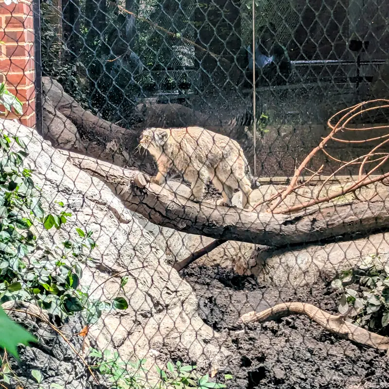 プロスペクト・パーク動物園のサルナイの写真