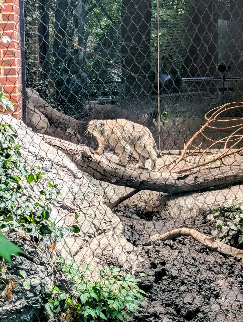 プロスペクト・パーク動物園のサルナイの写真