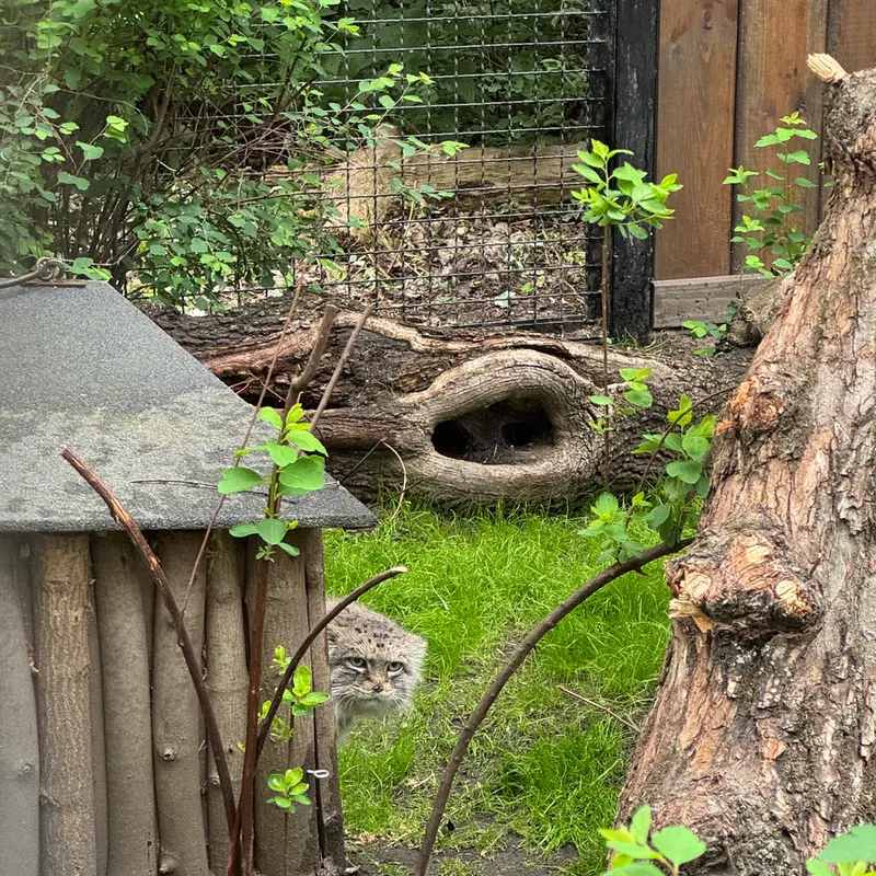 ワルシャワ動物園のジェシーの写真