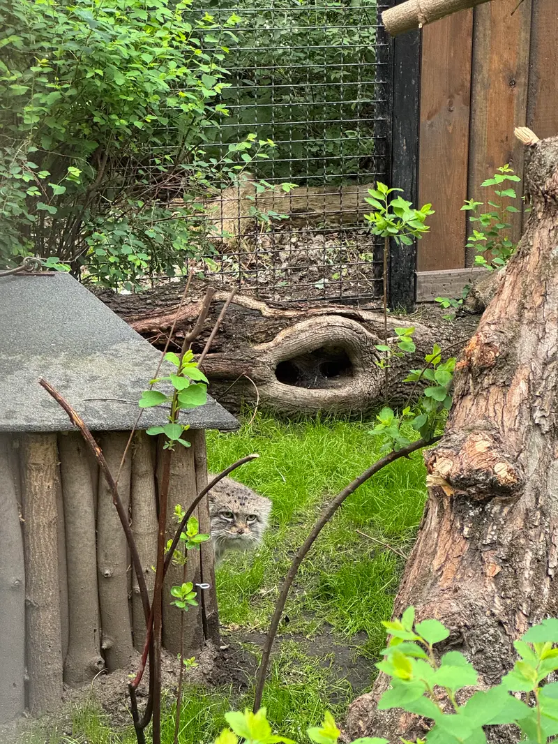 ワルシャワ動物園のジェシーの写真