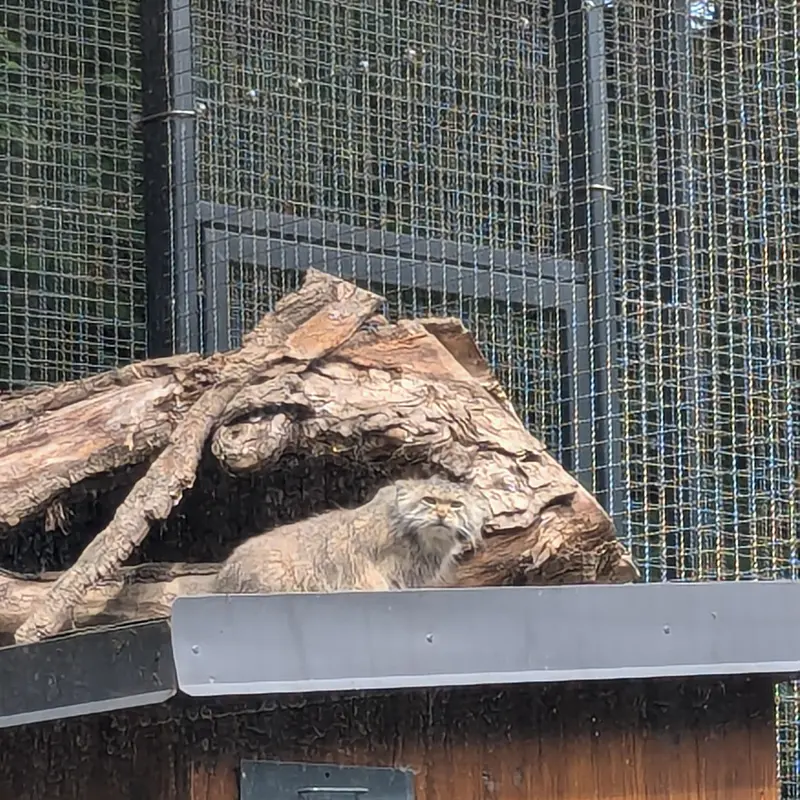 リトアニア動物園のメリッサの写真