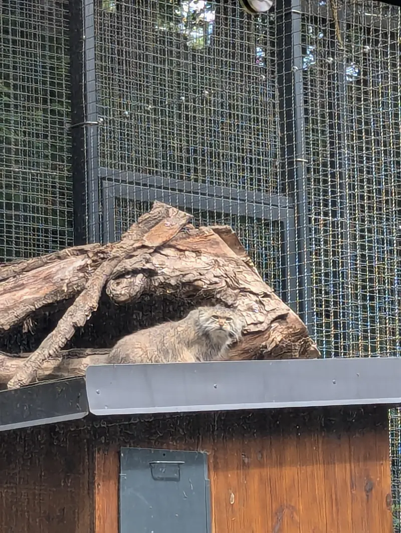 リトアニア動物園のメリッサの写真