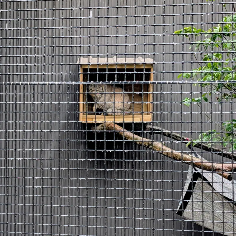 エルムウッド・パーク動物園のレザの写真