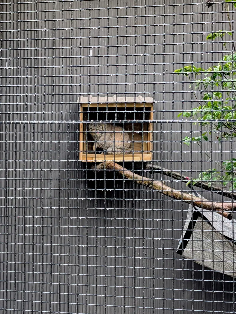 エルムウッド・パーク動物園のレザの写真