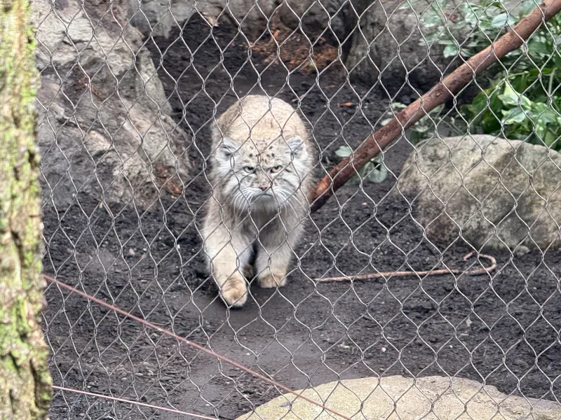プロスペクト・パーク動物園のバトゥの写真