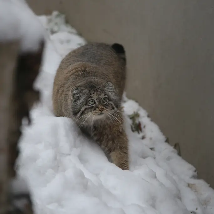 グダニスク動物園のウラの写真