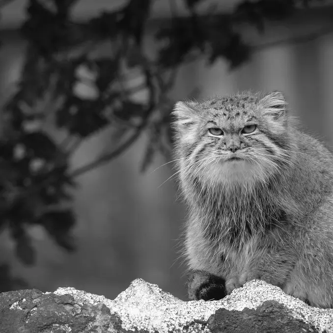 レ・テール・ド・ナタエのアグネタの写真