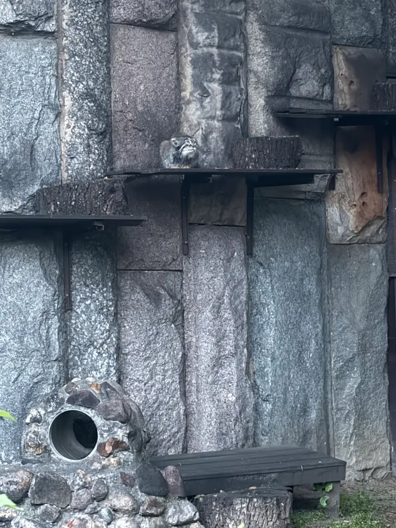 モスクワ動物園のティモフェイの写真