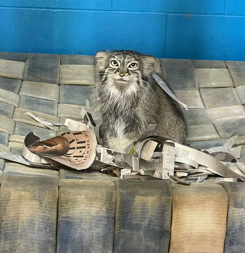 ニアビ動物園のイーヴィーの写真