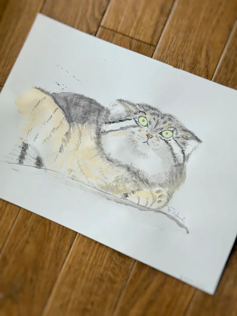 レフの写真