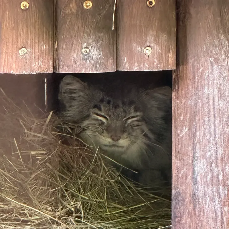 ポズナン新動物園のマニアの写真