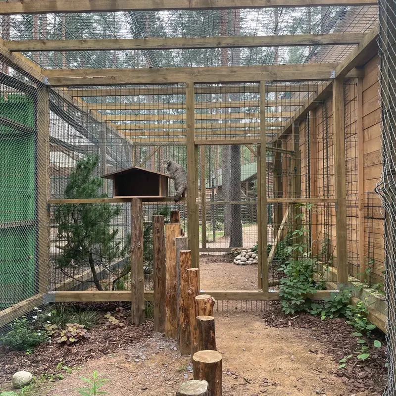 動物園「ナ・ランプシュケ」のバユンの写真
