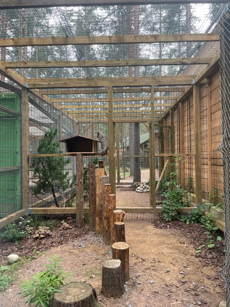 動物園「ナ・ランプシュケ」のバユンの写真