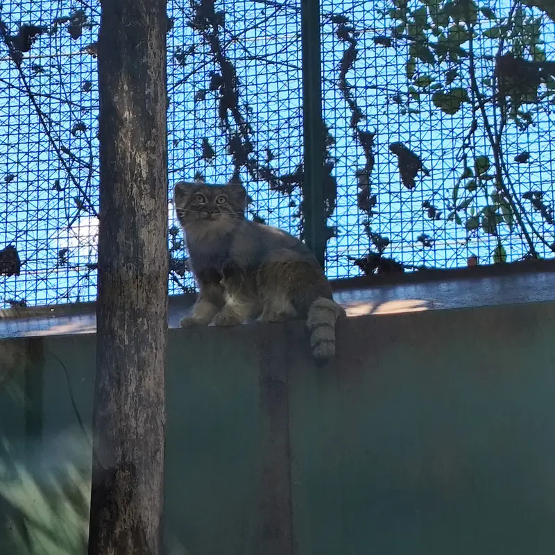 ブダペスト動物園・植物園のルーシーの写真