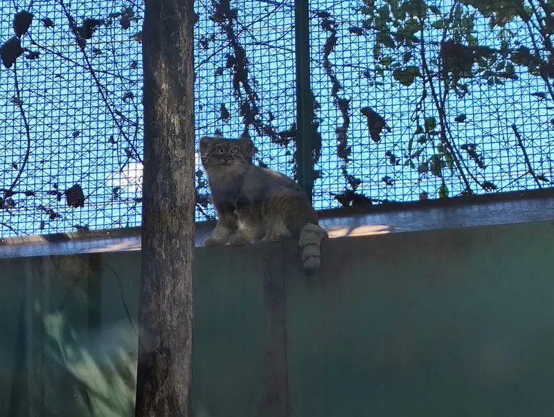 ブダペスト動物園・植物園のルーシーの写真