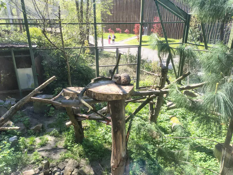 ウッチ動物園のパッツォの写真