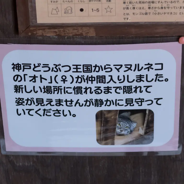 埼玉県こども動物自然公園のオトの写真