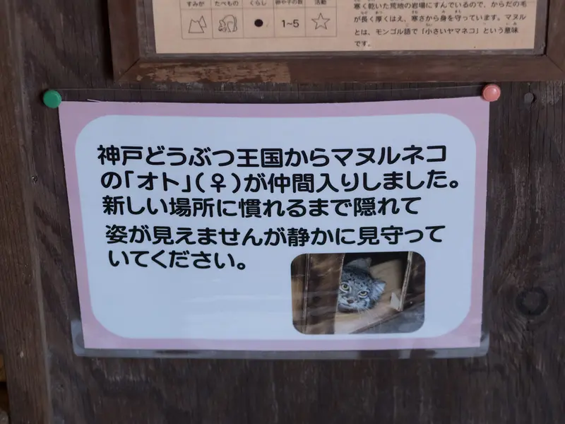 埼玉県こども動物自然公園のオトの写真