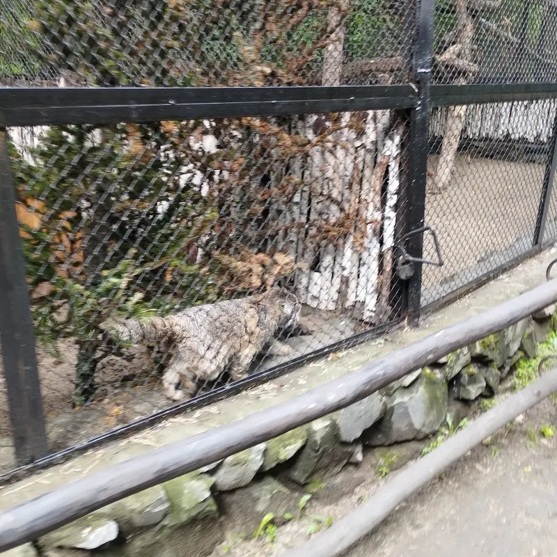 ノヴォシビルスク動物園のゼレノゴルスクの写真