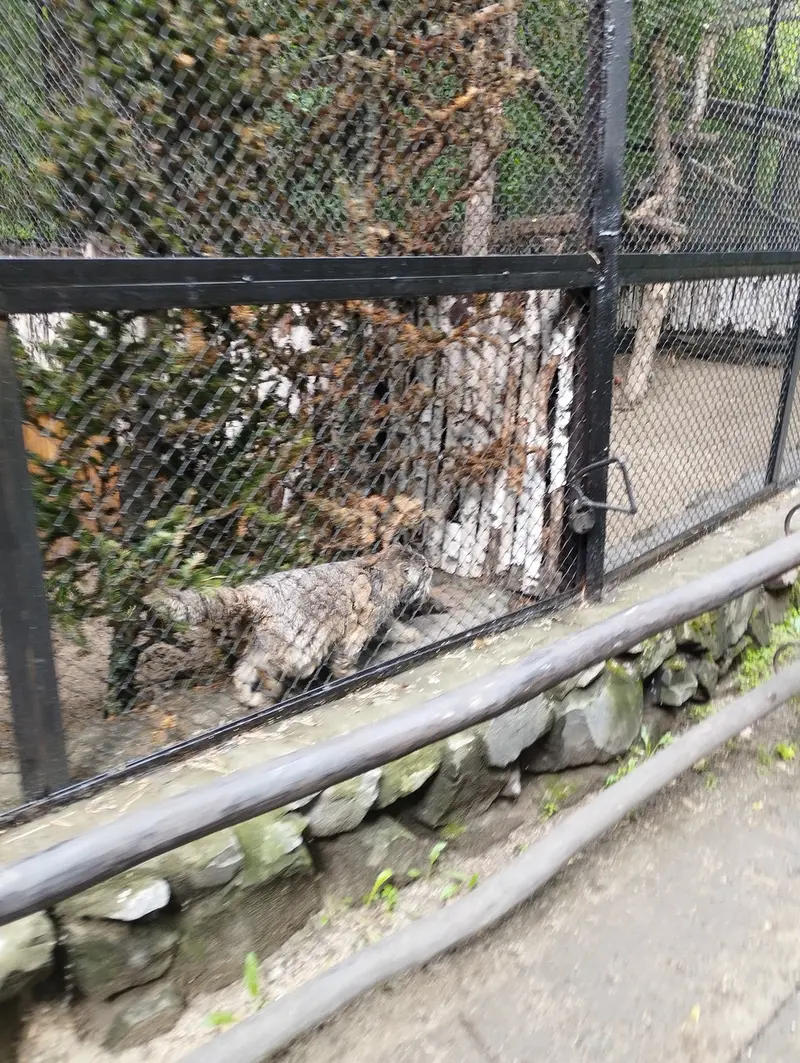 ノヴォシビルスク動物園のゼレノゴルスクの写真