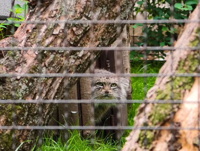 ワルシャワ動物園のジェシーの写真