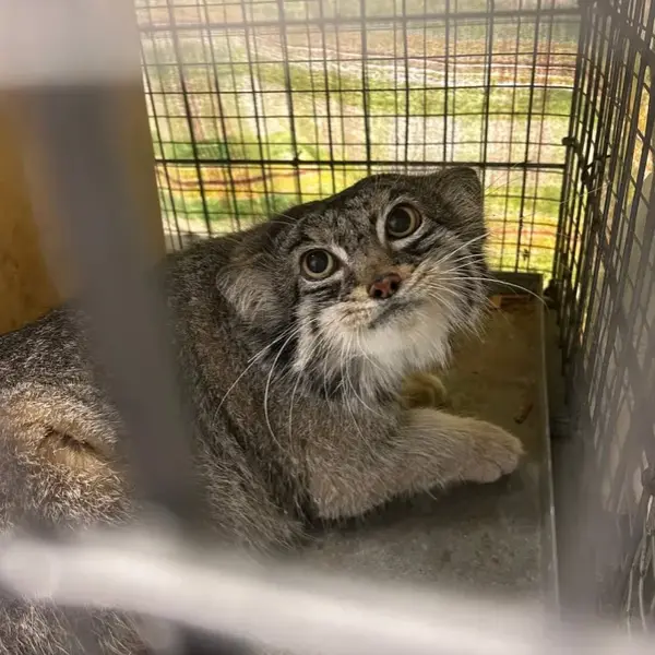 スペリオル湖動物園のパブの写真