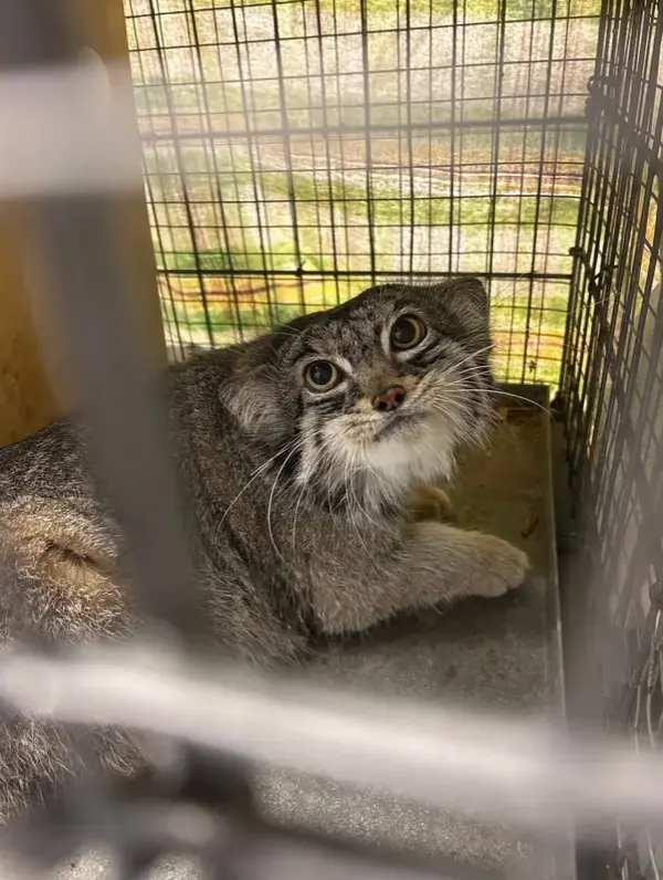 スペリオル湖動物園のパブの写真