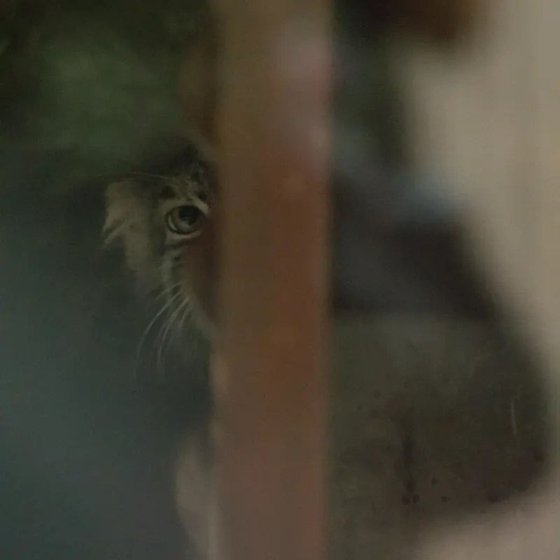 恩賜上野動物園のサフランの写真