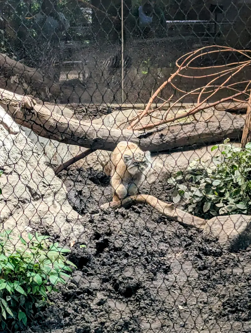 プロスペクト・パーク動物園のサルナイの写真
