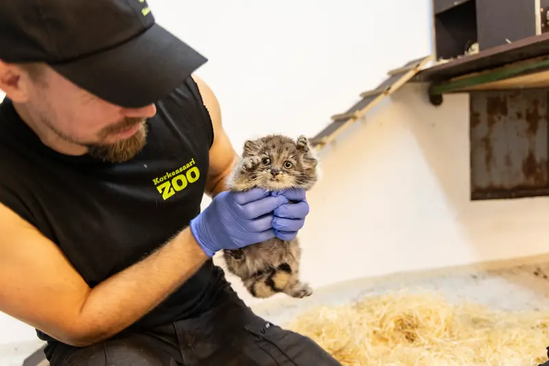 コルケアサーリ動物園のプリンセッサの写真