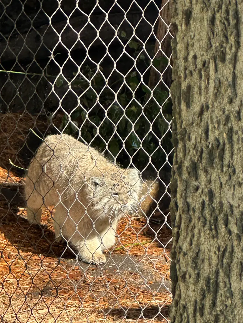 プロスペクト・パーク動物園のバトゥの写真