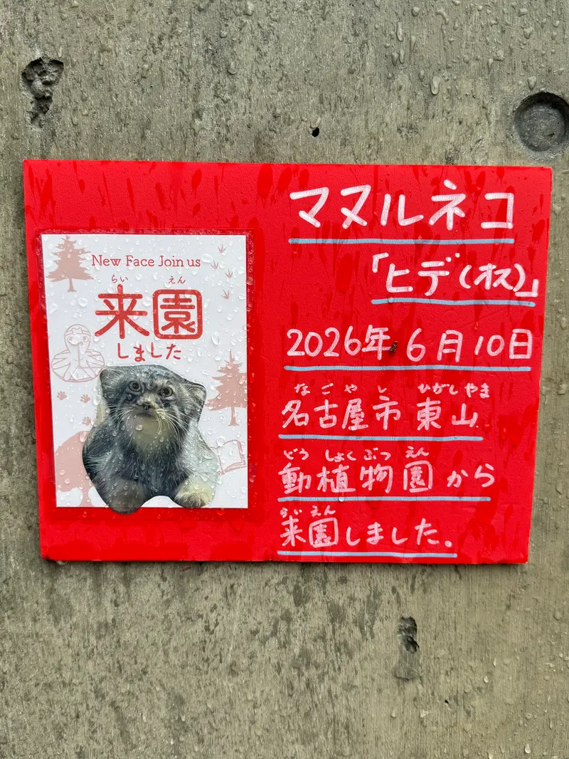 旭山動物園のヒデの写真