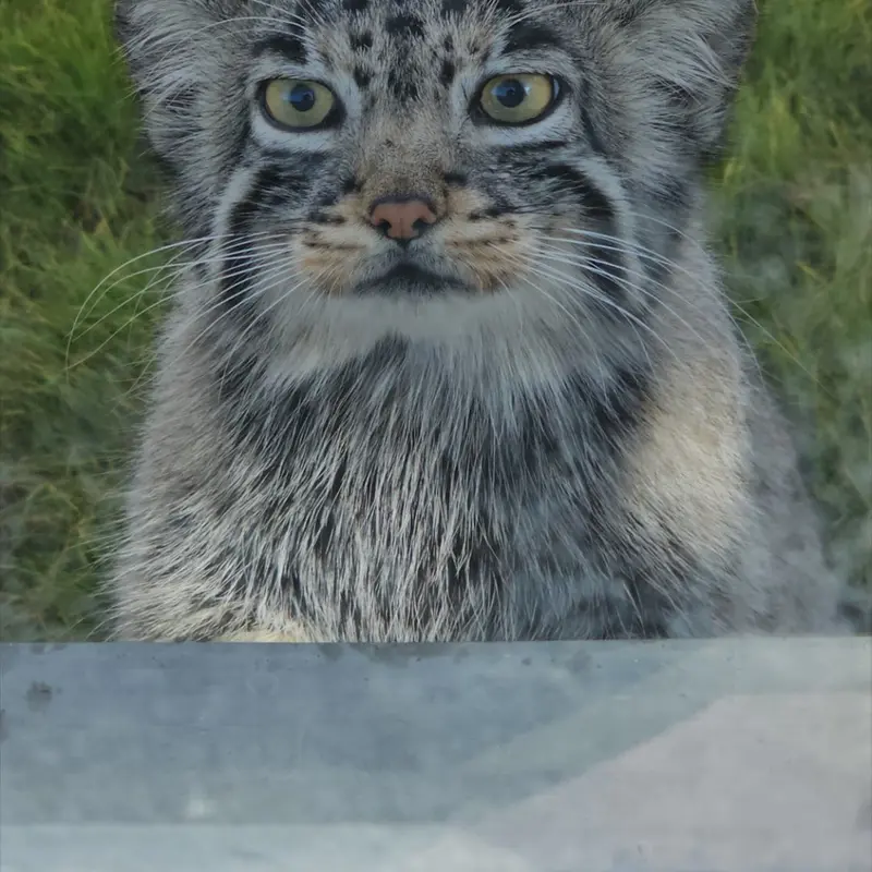 曲水動物園のUUの写真