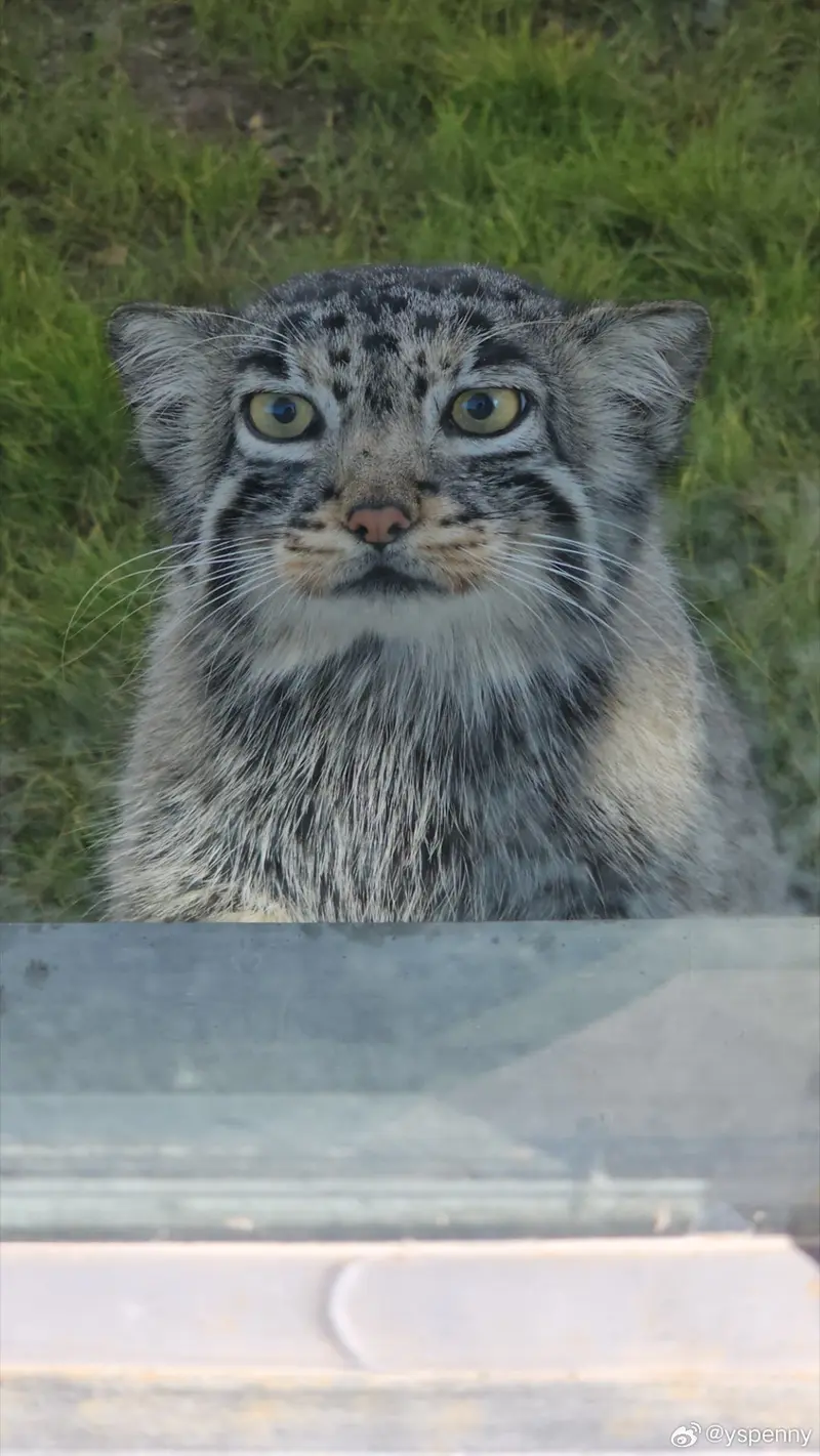 曲水動物園のUUの写真