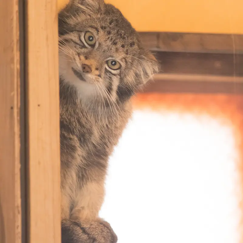 埼玉県こども動物自然公園のオトの写真
