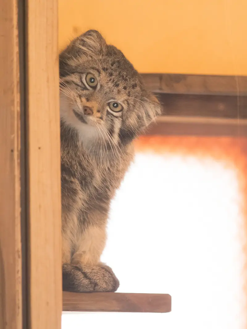 埼玉県こども動物自然公園のオトの写真