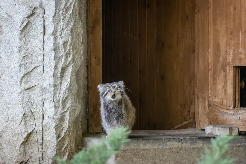 モスクワ動物園のティモフェイの写真