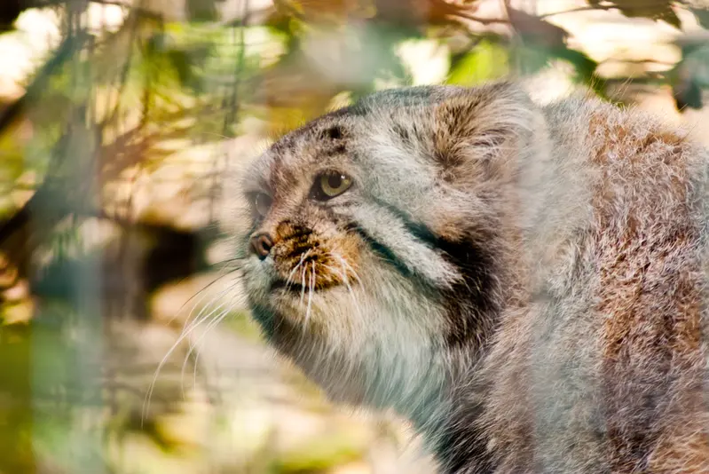 マクデブルク動物園のジョナサンの写真