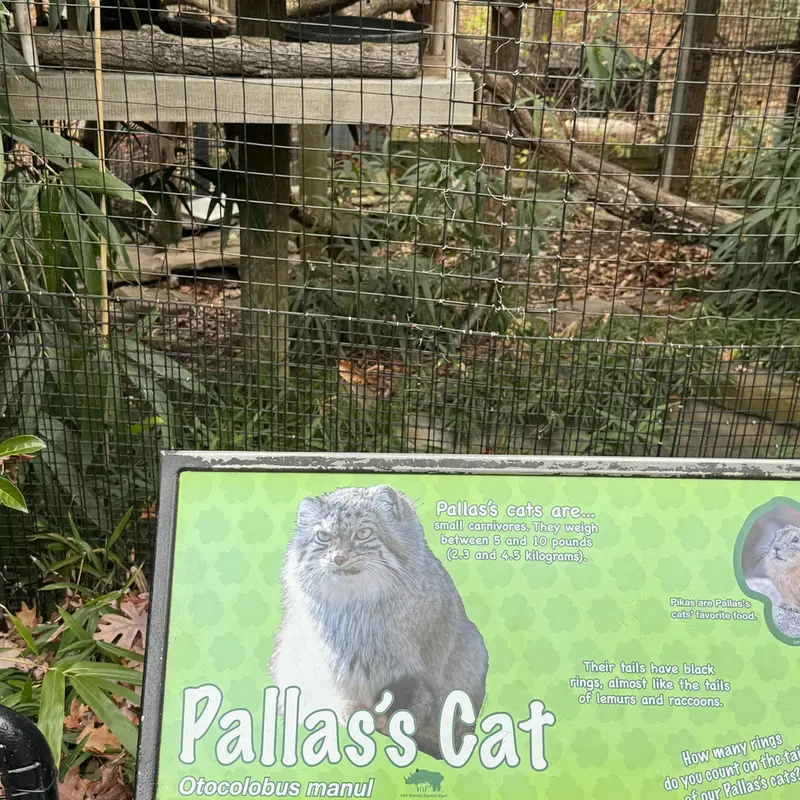 スミソニアン国立動物園のアカルの写真