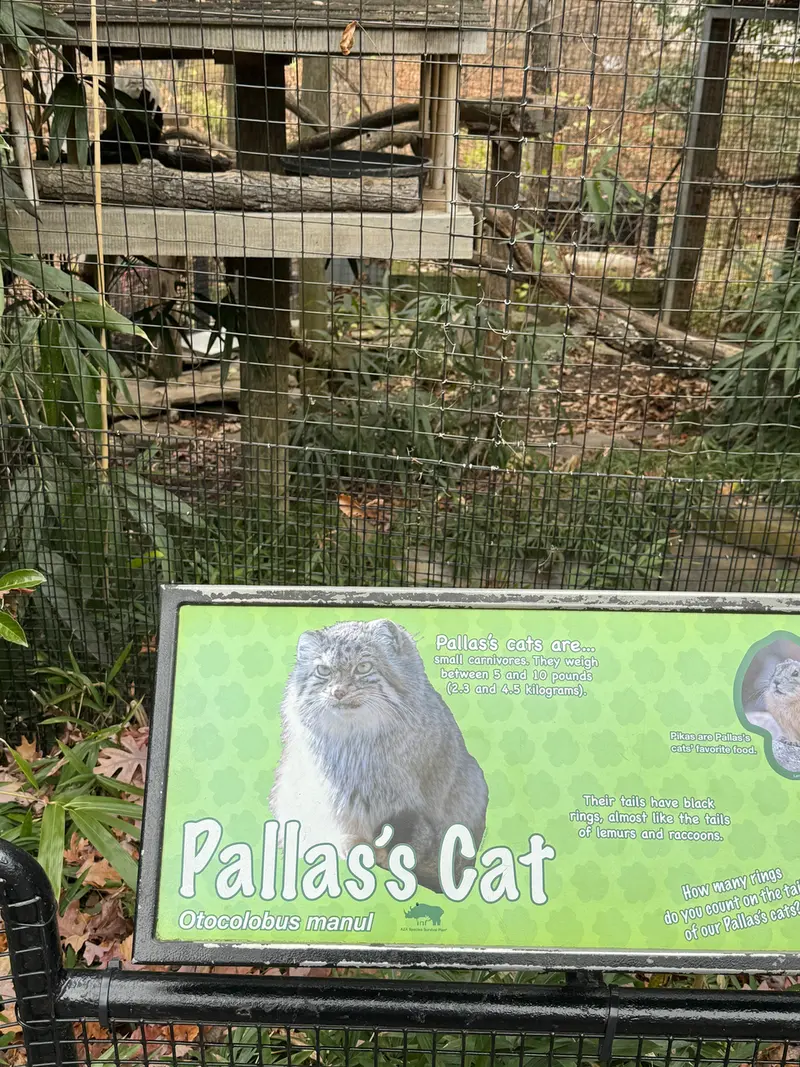 スミソニアン国立動物園のアカルの写真