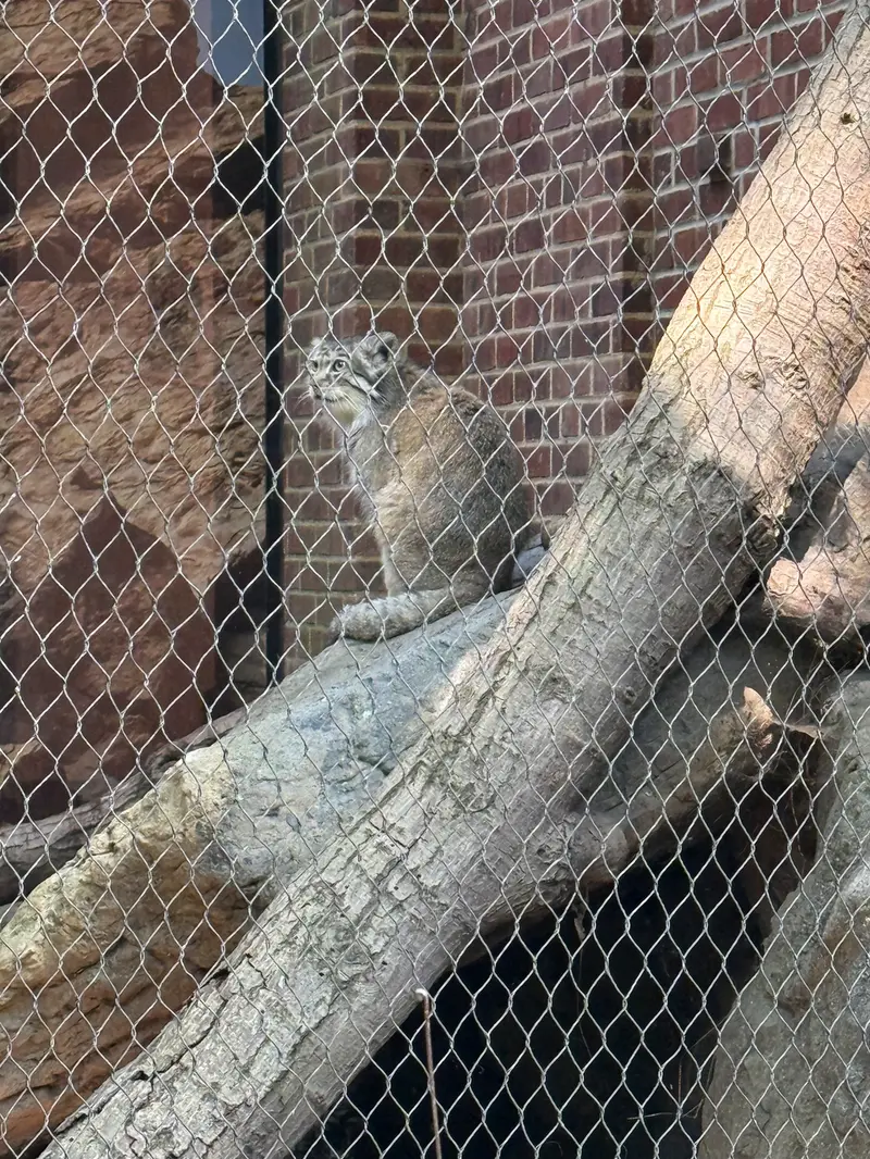 プロスペクト・パーク動物園のバトゥの写真