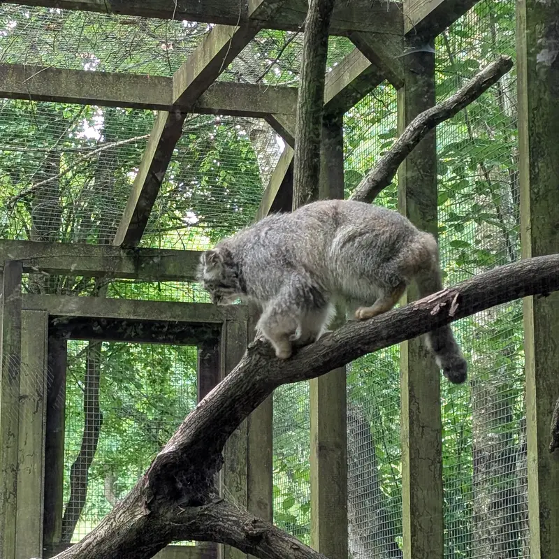 ブダペスト動物園＆植物園のアイセンの写真