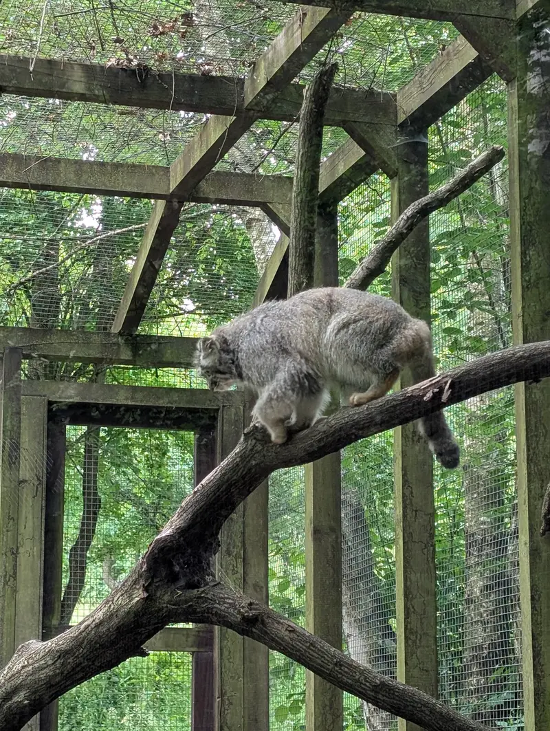 ブダペスト動物園＆植物園のアイセンの写真