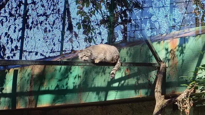 ブダペスト動物園・植物園のボフスの写真
