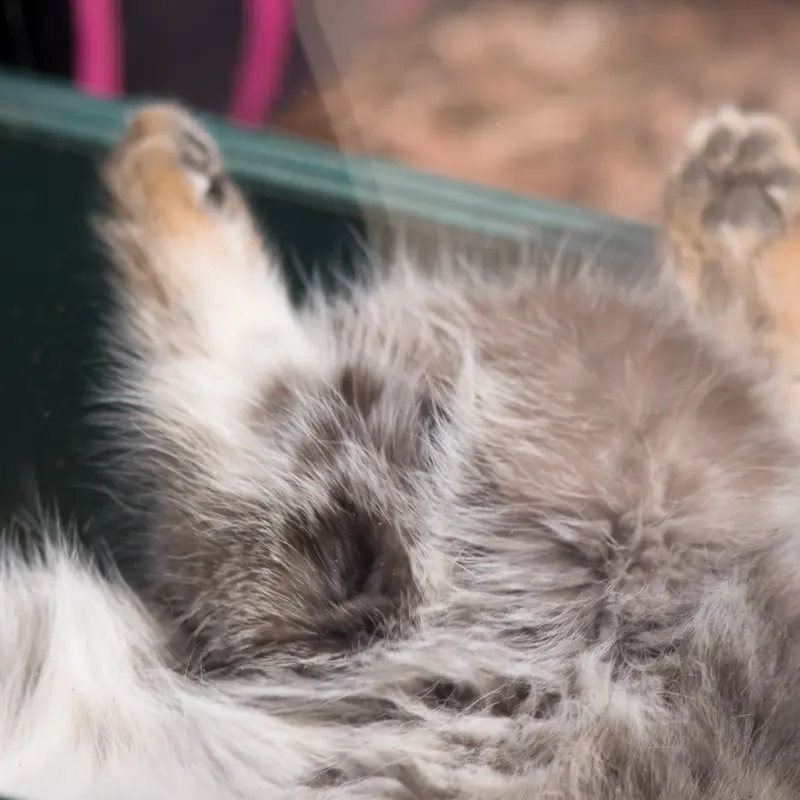 埼玉県こども動物自然公園のオトの写真