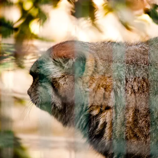 マクデブルク動物園のジョナサンの写真