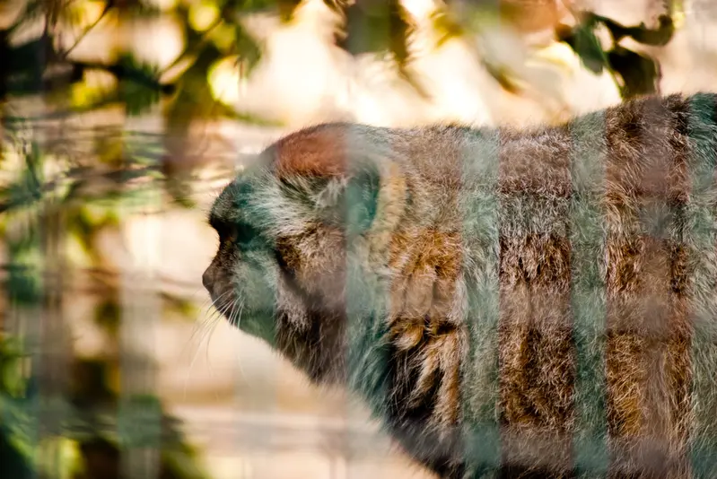 マクデブルク動物園のジョナサンの写真